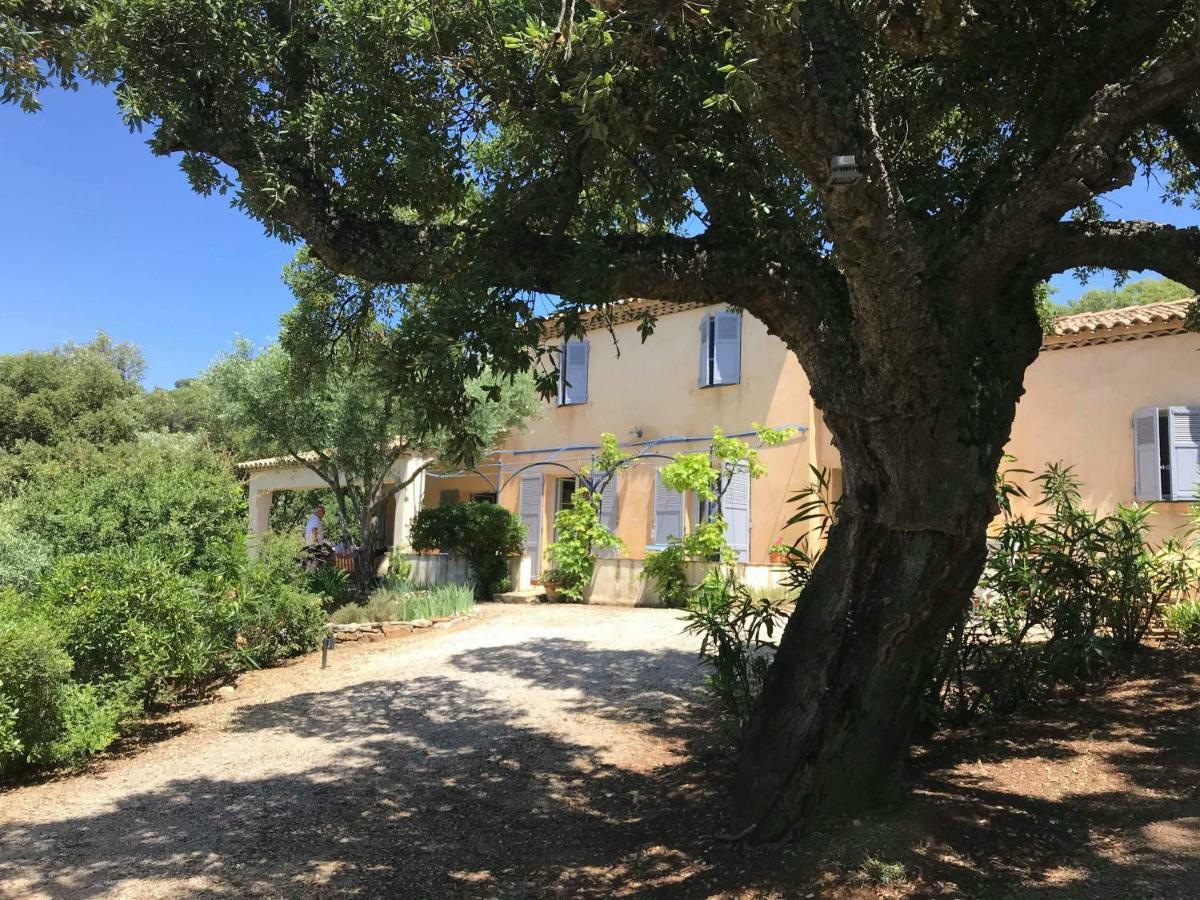 Bed and Breakfast Le Mas Amore Gassin Exteriér fotografie